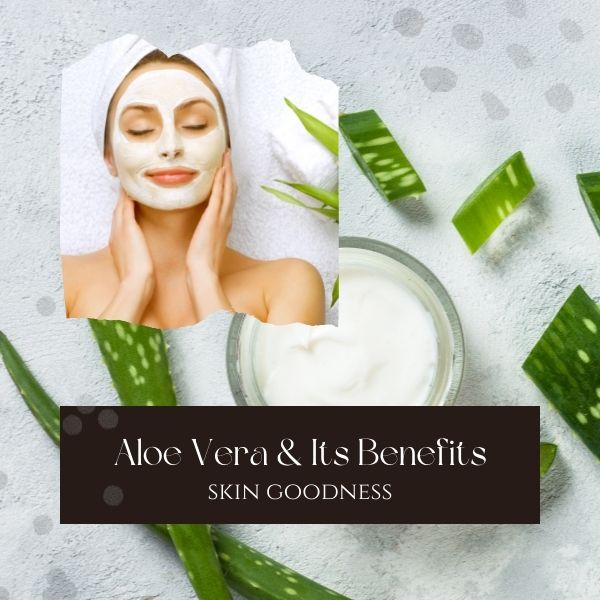 7 Best Homemade Aloe Vera Face Mask for all Skin type